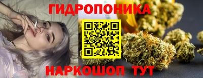 крисы Бузулук